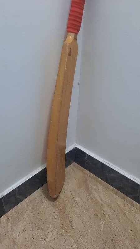 BAT FOR SALE 4