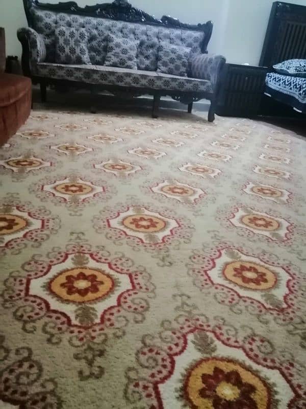 carpet 0