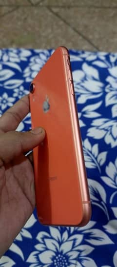 iphone XR pta approved condition 10by10 face id true tone all ok