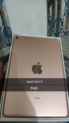 ipadmini5