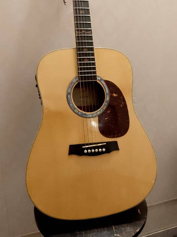 semi acoustic guitar 1