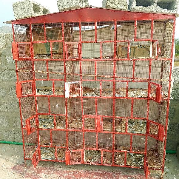 cage for sale 0