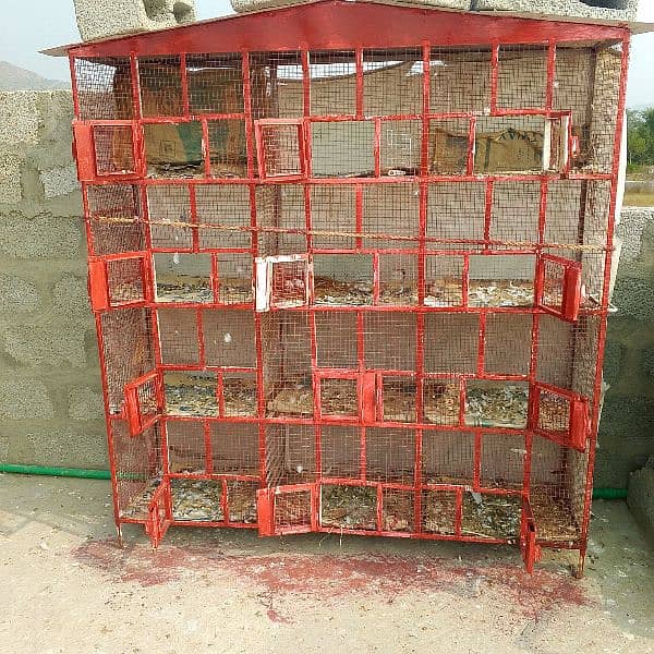 cage for sale 1