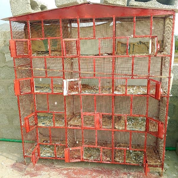 cage for sale 2