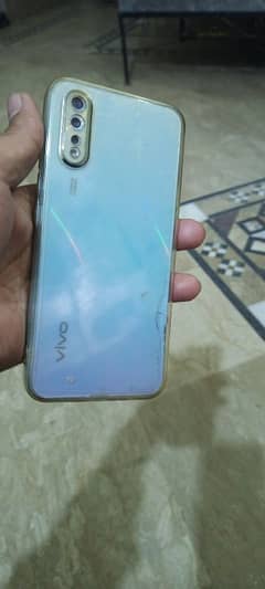 vivo