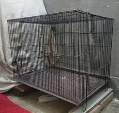 CAGE/DOLI & BOX/FEEDER & DRINKER. URGENT FOSALE FOR BIRDS.