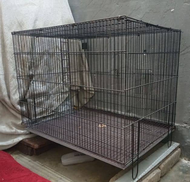 CAGE/DOLI & BOX/FEEDER & DRINKER. URGENT FOSALE FOR BIRDS. 0