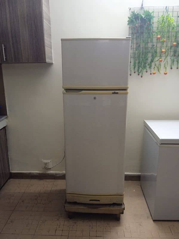 Pell Fridge for sale in good condition at reasonable cost 0