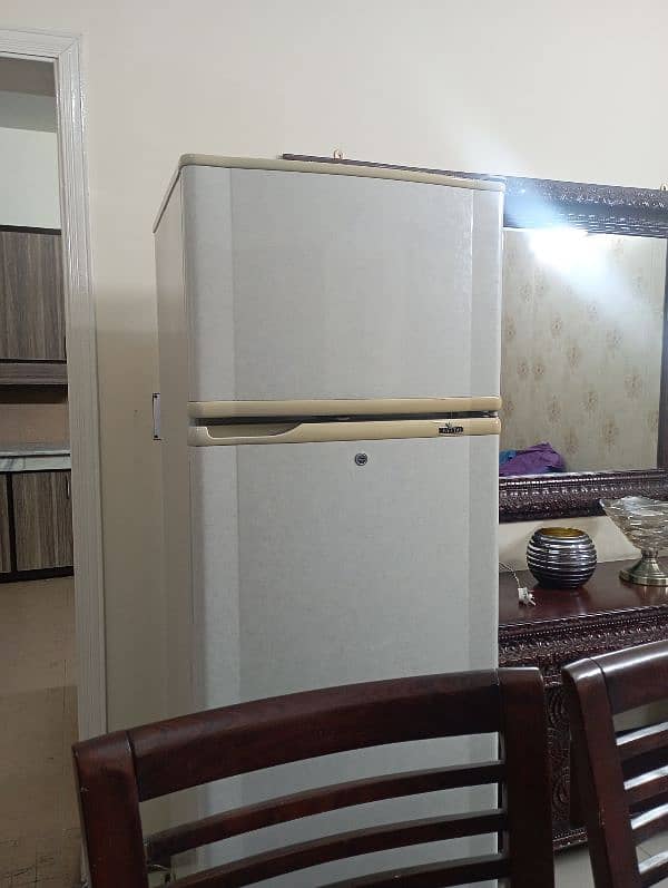 Pell Fridge for sale in good condition at reasonable cost 1