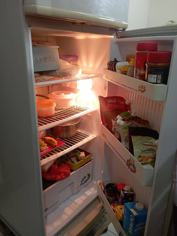 Pell Fridge for sale in good condition at reasonable cost 4