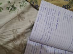 hand writing assignment work