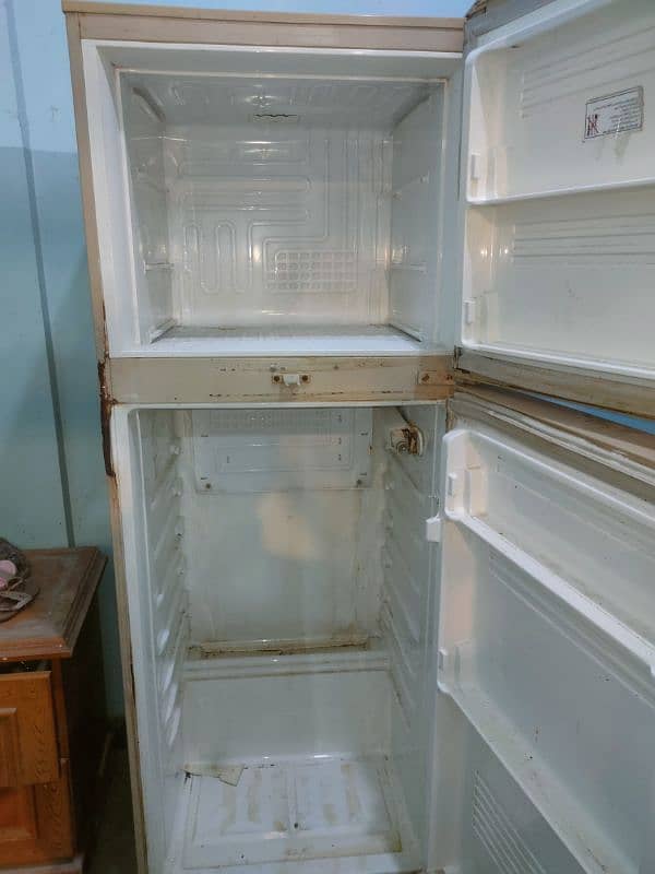 Pel Fridge 3