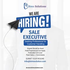 Sales Executive