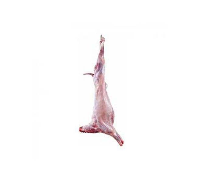 fresh mutton meat available on wholesale 0