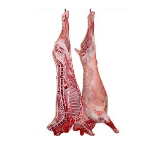 fresh mutton meat available on wholesale 1