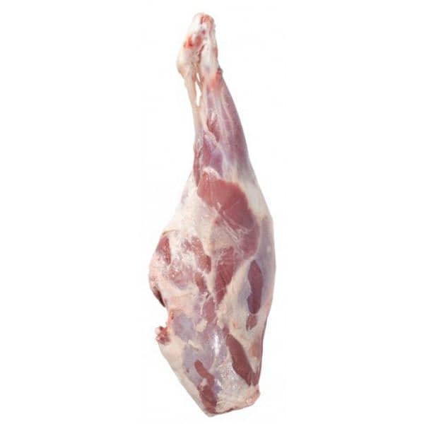 fresh mutton meat available on wholesale 4