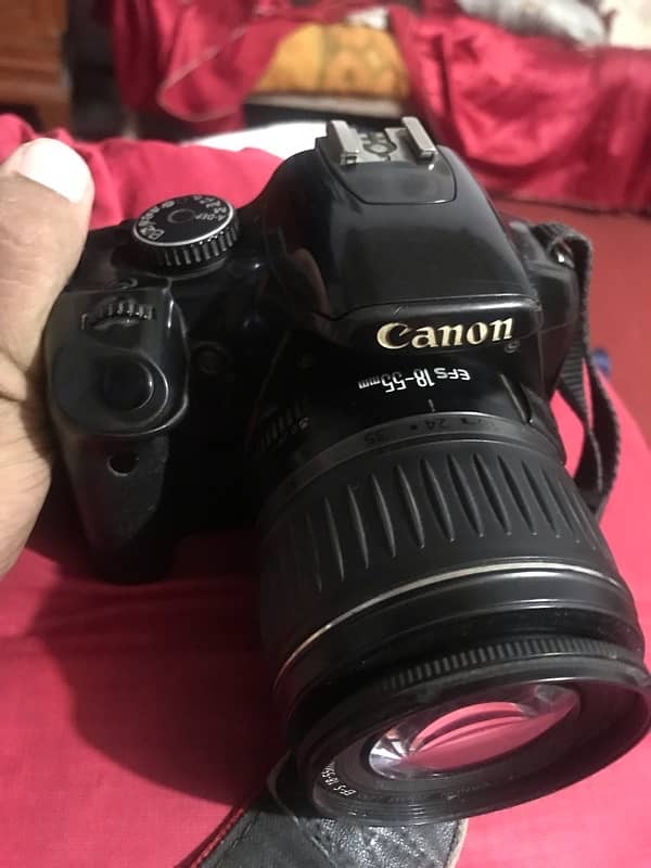 Canon D450 with 1855 lens 6