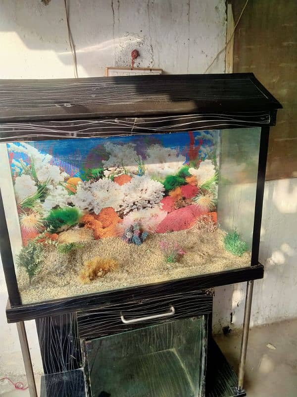 3 feet aquarium with all accessories 1