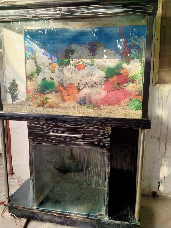 3 feet aquarium with all accessories 2