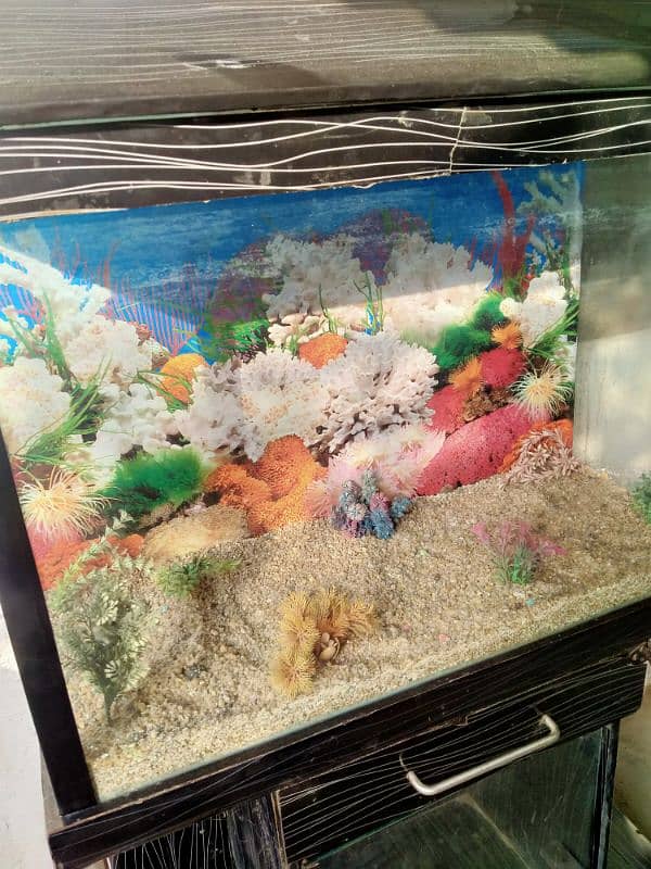 3 feet aquarium with all accessories 3