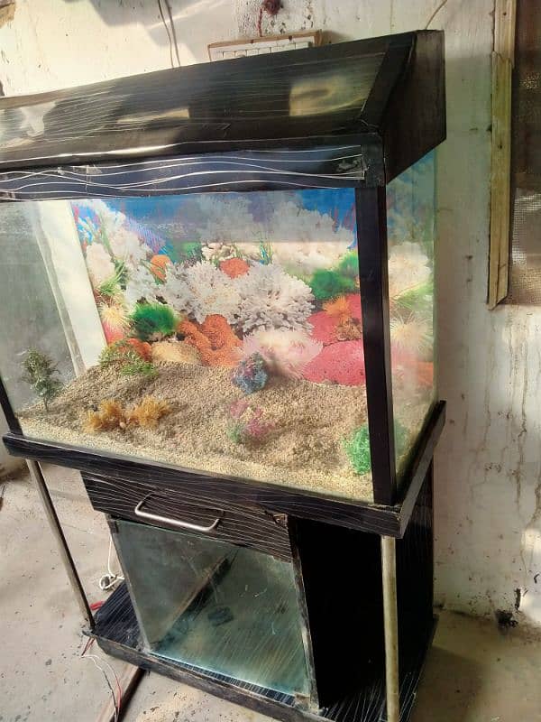 3 feet aquarium with all accessories 5