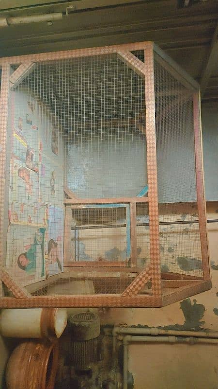 cage for sale 0