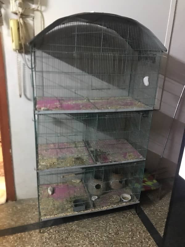 bird cage 0