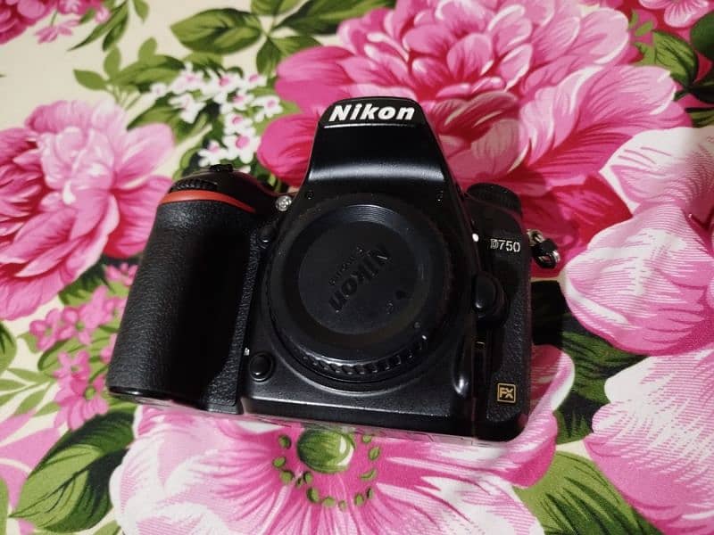 Nikon D750 1