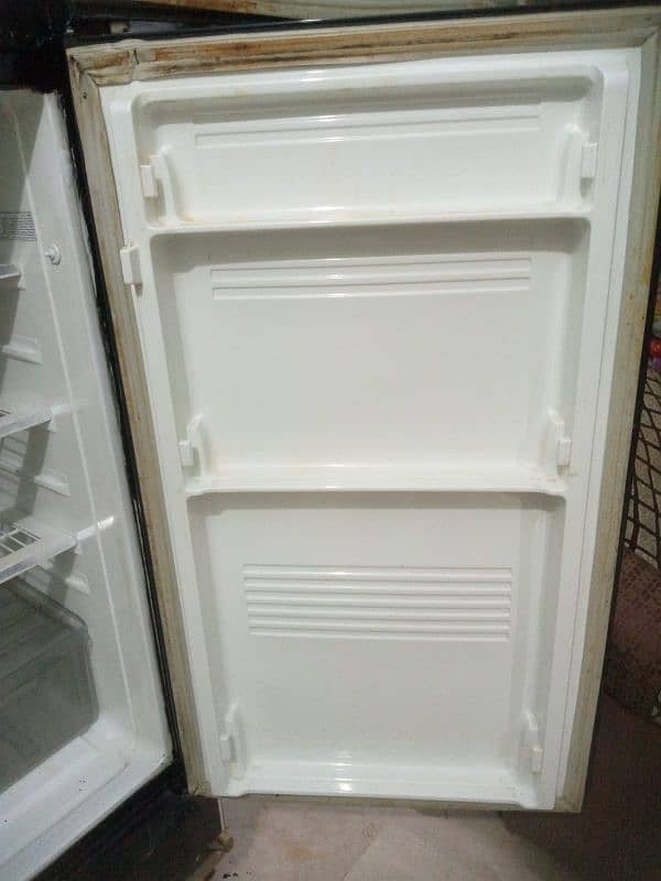 Full Size Pel Refrigerator 5