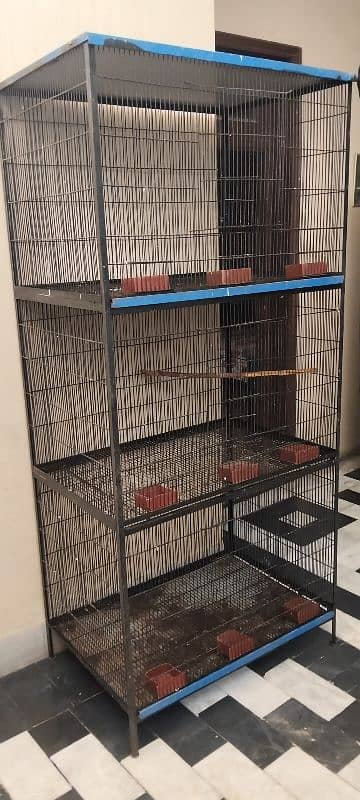 large size cage 1