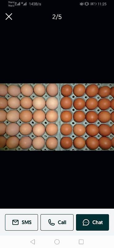 Fresh Desi Eggs For Sale 0