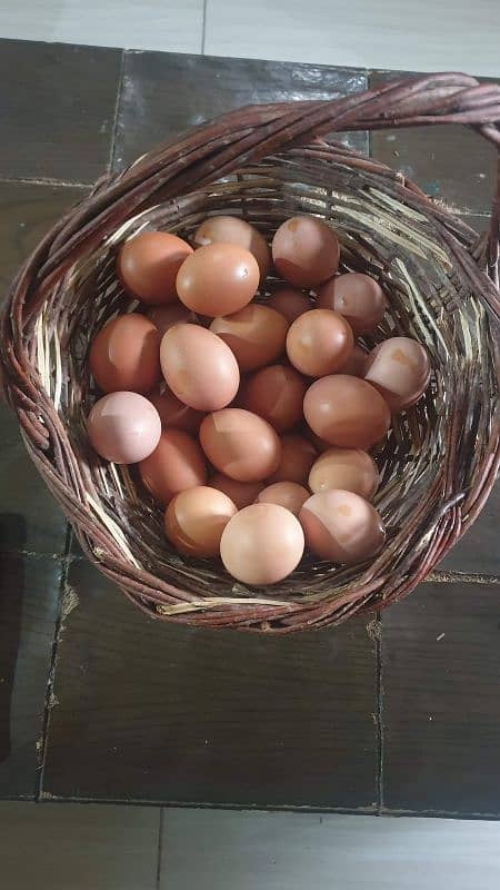 Fresh Desi Eggs For Sale 1