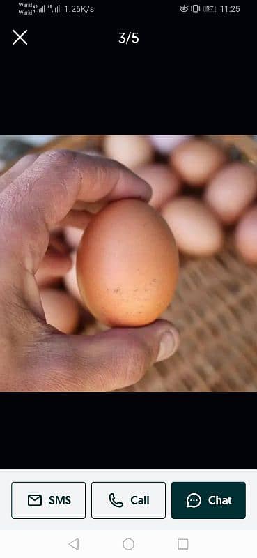 Fresh Desi Eggs For Sale 2