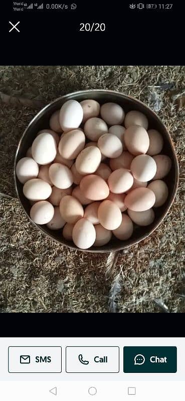 Fresh Desi Eggs For Sale 3