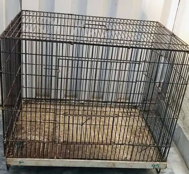 Folding cage for sale in Lahore 1