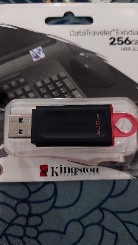 kingston Exodia Data Traveler USB 256 GB 2