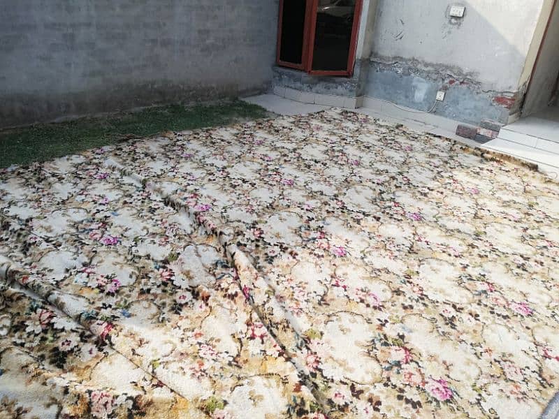 Carpet for sale 5