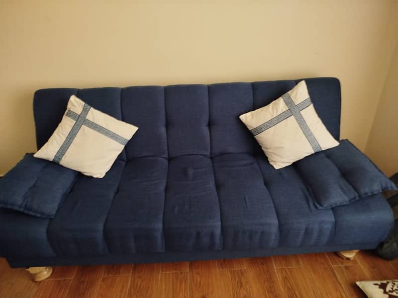 Sofa cum Bed Two seater 0