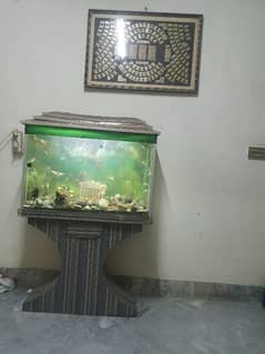 fish Aquarium complete setup