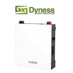 dyness 51.2v with 5 years replacement warranty