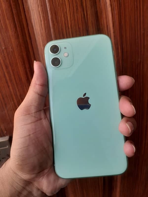 iPhone 11 water pack 0