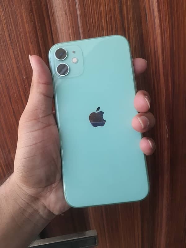 iPhone 11 water pack 11