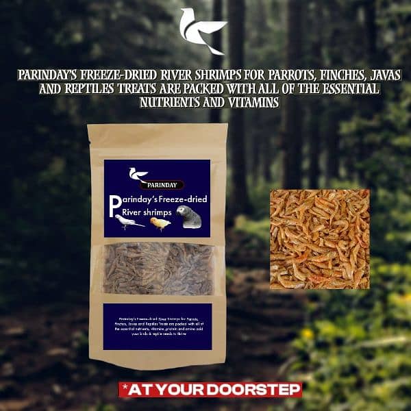 Best Quality Bird's Feed, Supplements and Accessories : 9