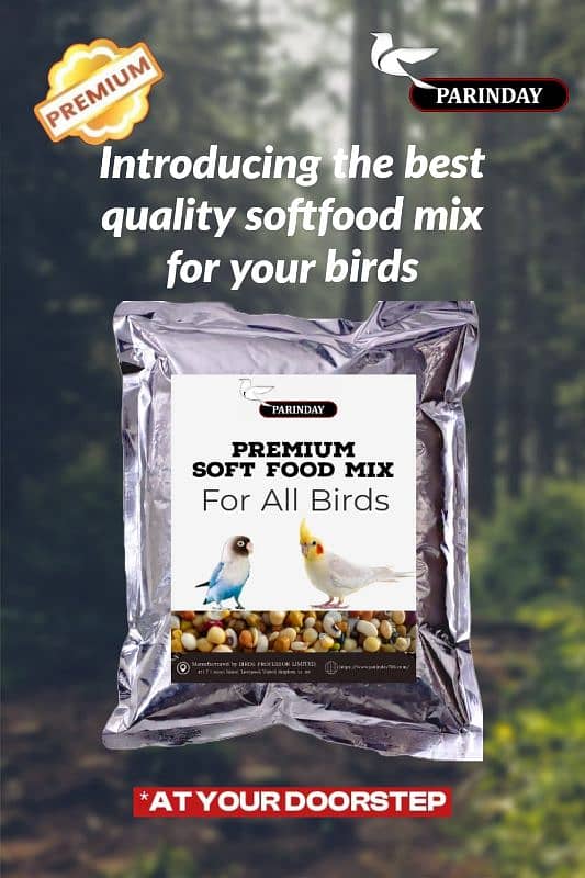 Best Quality Bird's Feed, Supplements and Accessories : 11