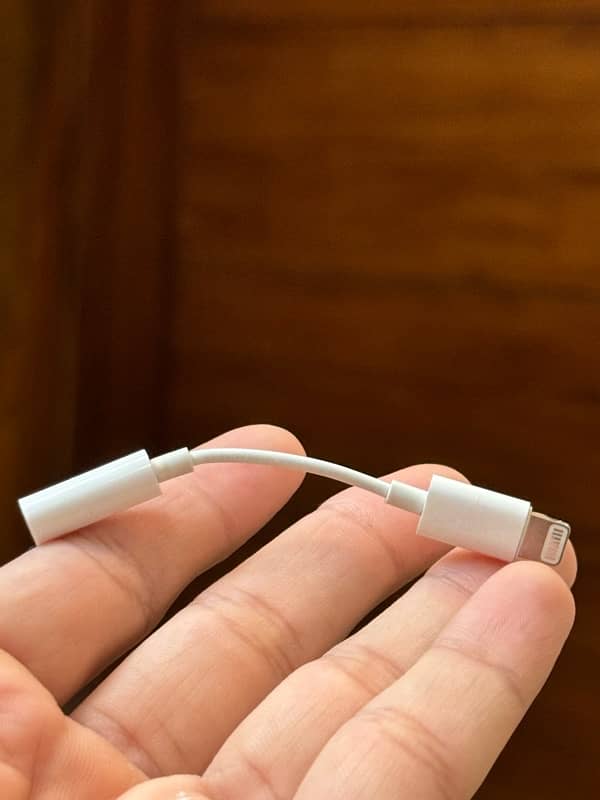 Apple Genuine connector aux to lightening 0