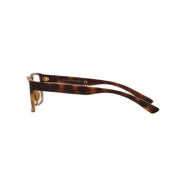 POLO RALPH LAUREN Eyeglasses 4