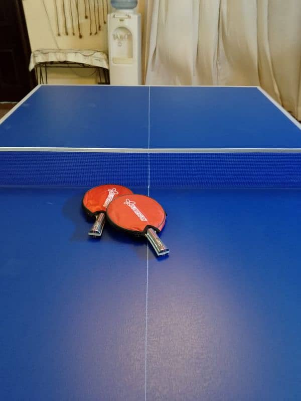 Table tennis table 9