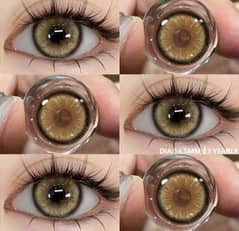 Eye Lens ( Contact lenses)