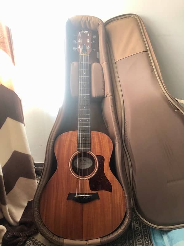 Taylor GS mini 2