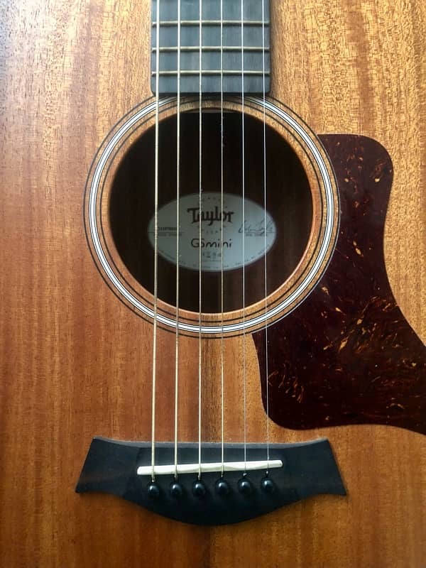 Taylor GS mini 3